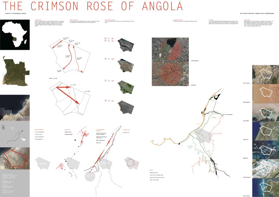 mazzapokora: Crimson Rose Benguela
