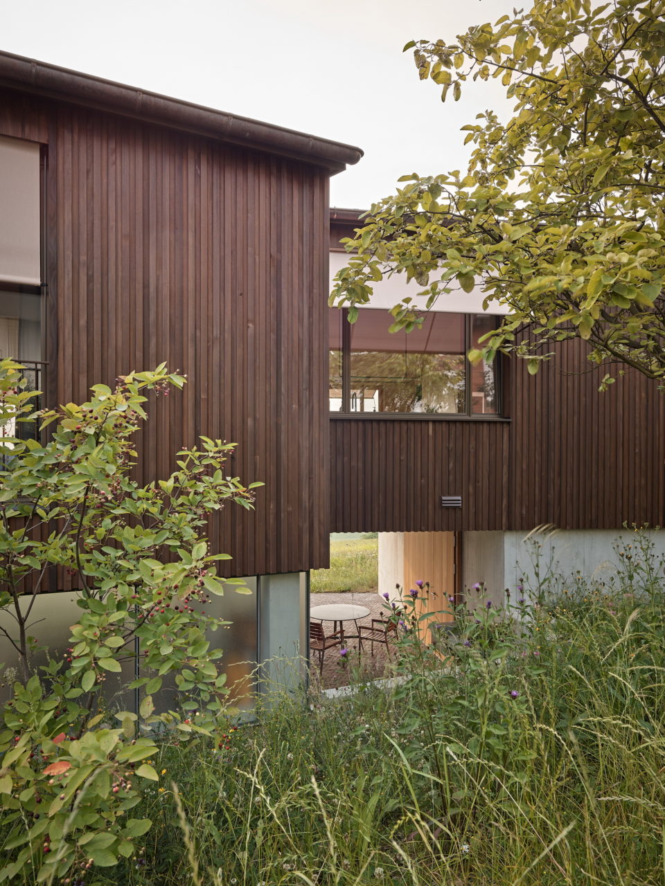 mazzapokora: Neubau Wohnhaus Islisberg